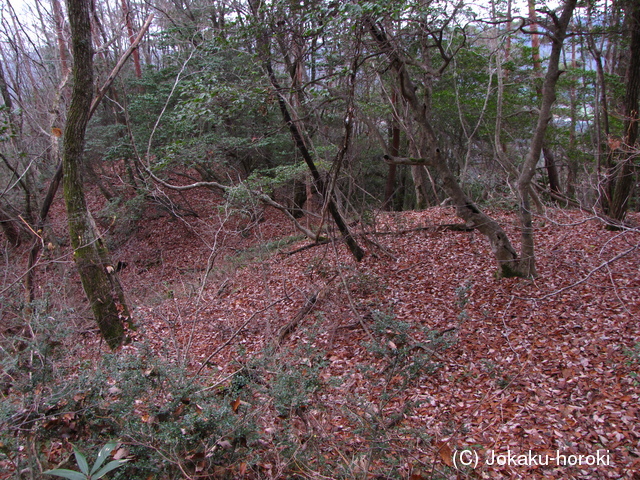 石見 宇山城砦群毛城の写真