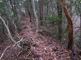 石見 宇山城砦群毛城の写真