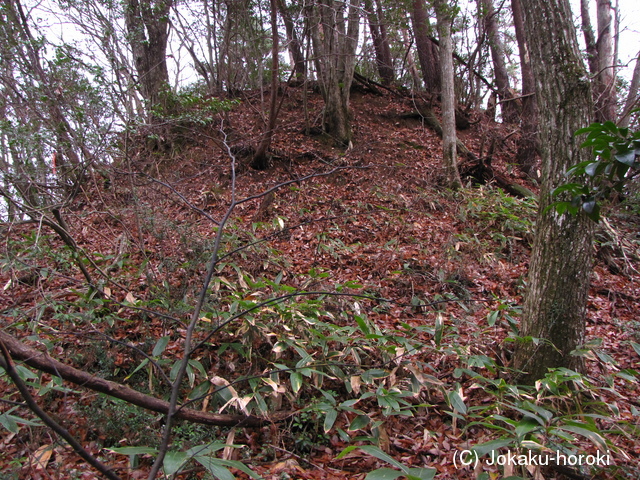 石見 宇山城砦群白鹿城の写真