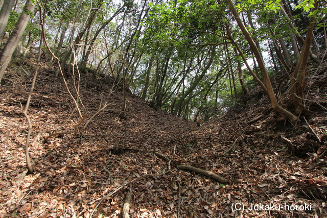 石見 茶臼山城の写真