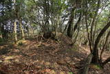 石見 茶臼山城の写真
