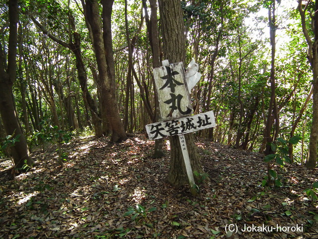 石見 矢筈城の写真