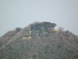 石見 山吹城の写真