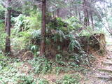 石見 四ツ山城の写真