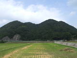 石見 四ツ山城の写真