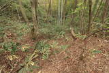 石見 観音城の写真