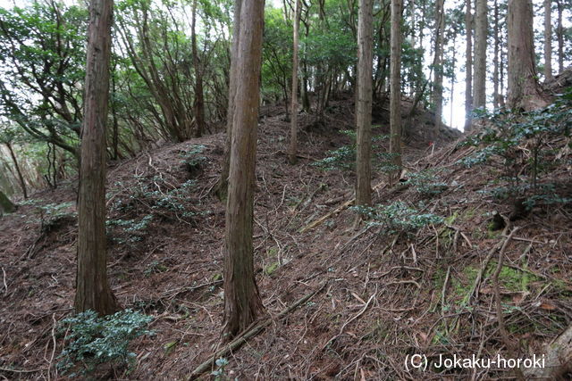 伊予 高尾城(新居浜市)の写真