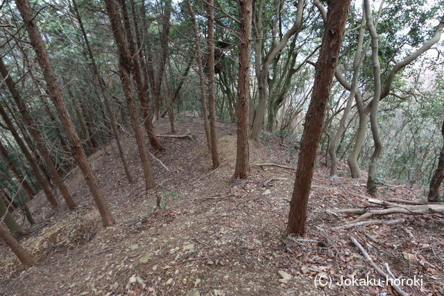 伊予 高尾城(下城)(新居浜市)の写真