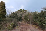 伊予 永納山城の写真