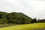 伊予 藤ノ森城の写真