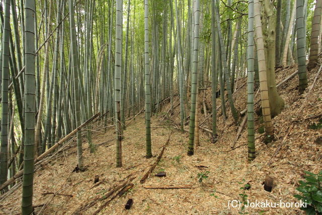 伊予 月頂山城の写真