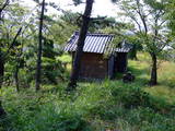 伊予 畠山城の写真