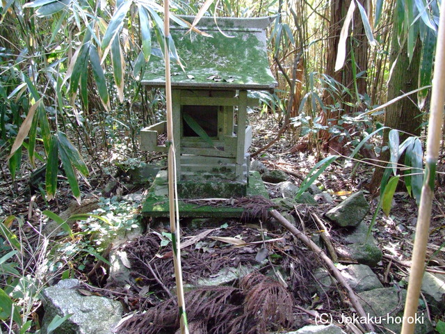 伊予 日高山城の写真