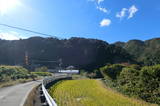 伊予 勝山城(日吉村)の写真