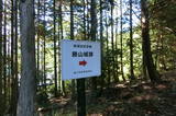 伊予 勝山城(日吉村)の写真