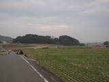 伊予 兵庫山城の写真