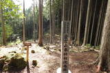 伊予 居倍野城の写真