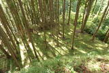 伊予 居倍野城の写真