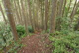 伊予 居倍野城の写真