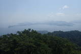 伊予 加茂城の写真