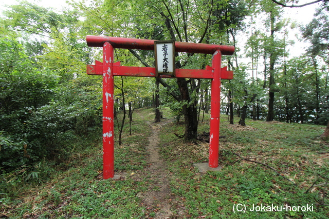 伊予 岩子山城の写真