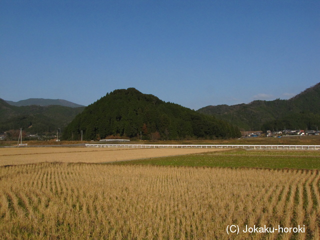 伊予 井関城の写真