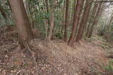 伊予 大森城(城辺町)の写真