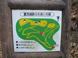 伊予 重茂城の写真