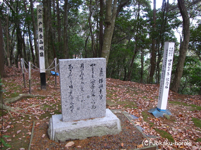 伊予 金山城の写真