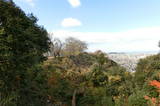 伊予 金子城の写真