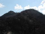 伊予 笠松山城の写真