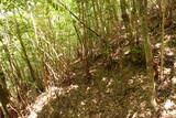 伊予 春日城の写真