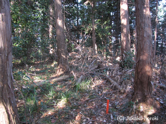 伊予 勝根山城の写真