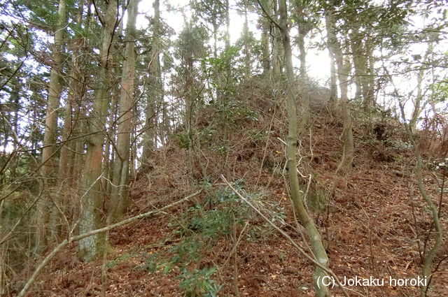 伊予 大熊城(川内町)の写真