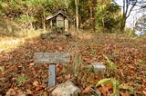 伊予 大熊城(川内町)の写真