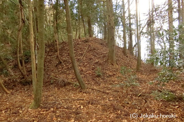 伊予 黒山城の写真