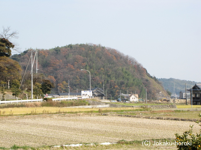 伊予 円山城の写真