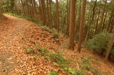 伊予 松森城(中山町)の写真