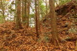 伊予 松森城(中山町)の写真
