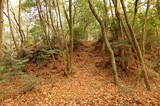 伊予 松森城(中山町)の写真