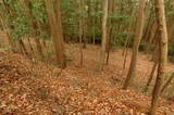 伊予 松森城(中山町)の写真
