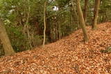 伊予 松森城(中山町)の写真