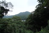 伊予 松ノ浦城の写真