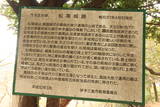 伊予 松尾城(伊予三島)の写真