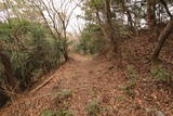 伊予 松尾城(伊予三島)の写真