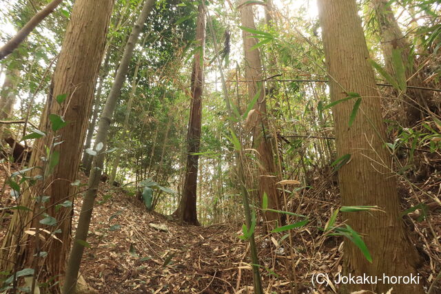 伊予 上城(野村町)の写真