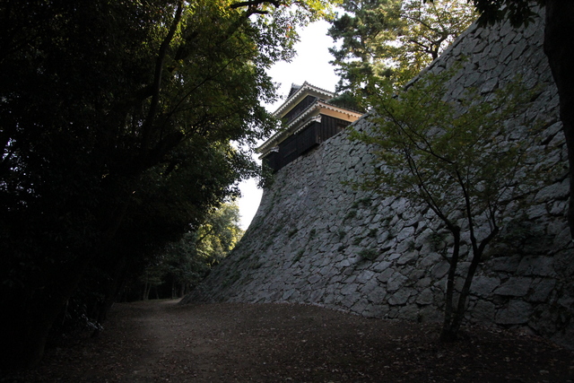 野原櫓の写真