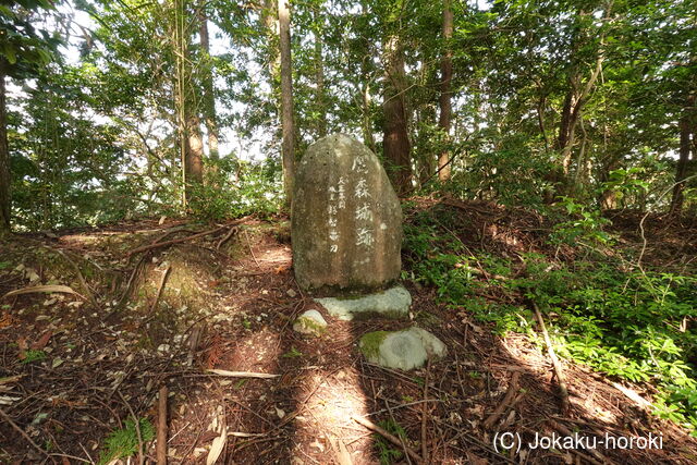 伊予 鷹森城(美川村)の写真