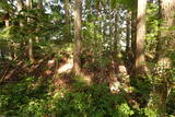 伊予 鷹森城(美川村)の写真