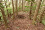 伊予 鷹森城(美川村)の写真